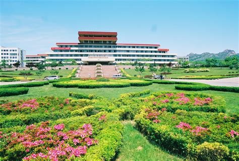 青岛大学2020年录取分数线及排名，在湖南省文科最低分真高！_腾讯新闻