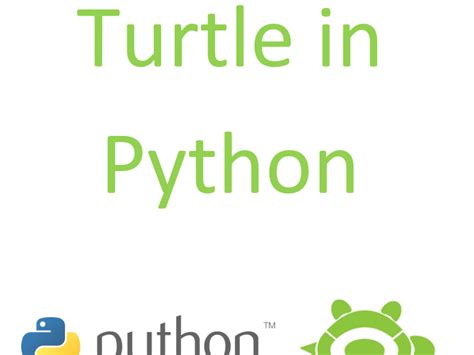 Image result for Python Turtle PDF
