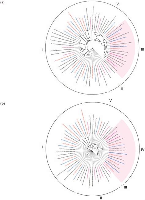 Association of a Specific OsCULLIN3c Haplotype with Salt Stress ...