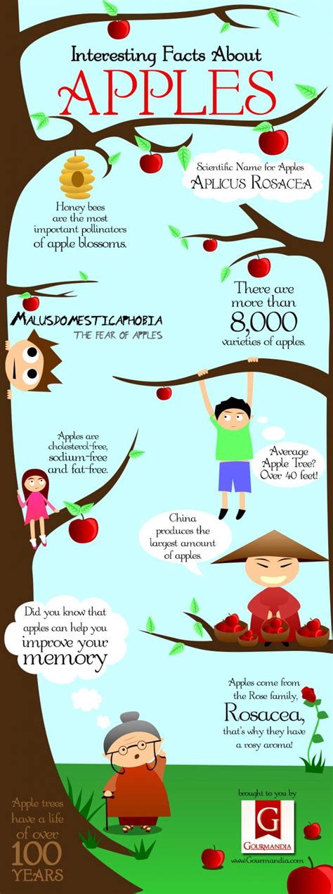 Facts About Apples