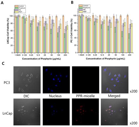 PMP(Porphyrin–Micelle–PSMA) Nanoparticles for Photoacoustic and ...