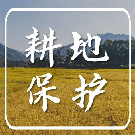 保护耕地 的图像结果