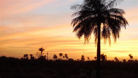 FARAKUNKU LODGES (Tujereng) - Ranch Reviews & Photos - Tripadvisor