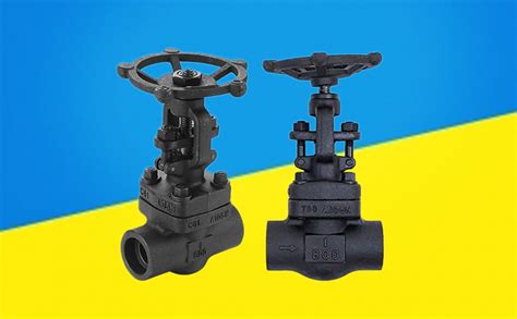 Globe Valve, 1" NPT(f) Forged Carbon Steel A105, 800#, IBR Certified ...