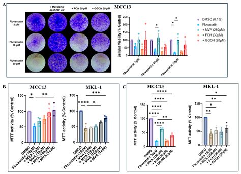Does Ras/Rho Have Skin in the Game: The Importance of the Isoprenoid ...