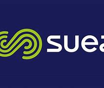 Image result for Suez Company