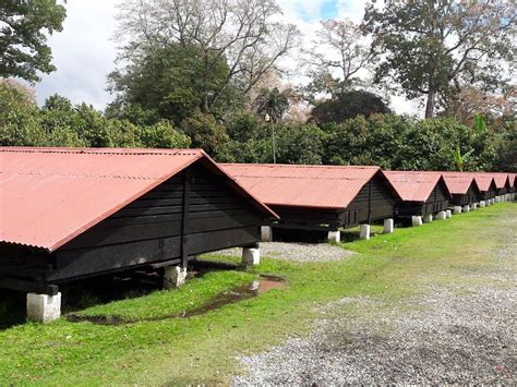 EL SENDERO DEL CACAO (2025) All You Need to Know BEFORE You Go (with ...