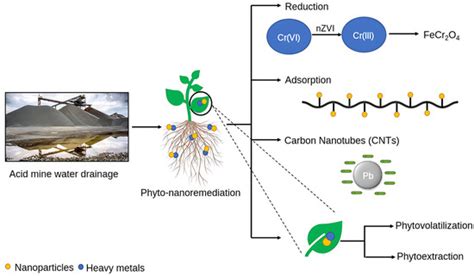 Water | Special Issue : An Innovative Approach to Cleaning Up Organic ...