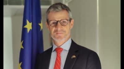 US tariffs strengthen rationale for India-European Union FTA: EU ...