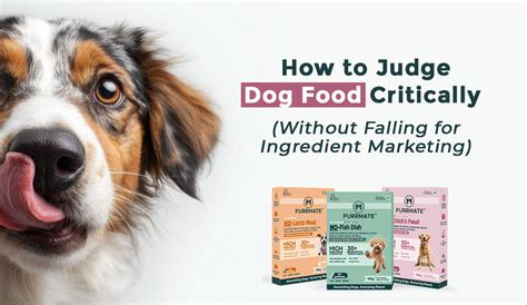 Best Vegan and Vegetarian Dog Food | FurrMate