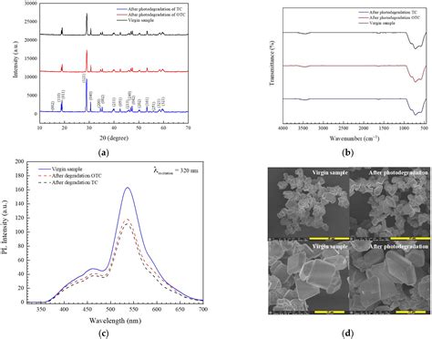 Enhanced Photocatalytic Degradation of Tetracycline and Oxytetracycline ...
