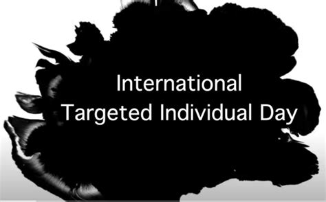 Targeted Individual Program 2020 的图像结果