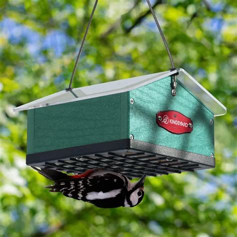 Best Squirrel Proof Feeders | Protect Seeds & Attract Birds