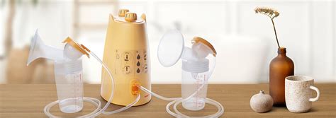 Wie und wo kannst du eine Milchpumpe mieten? - Milchpumpen und ...