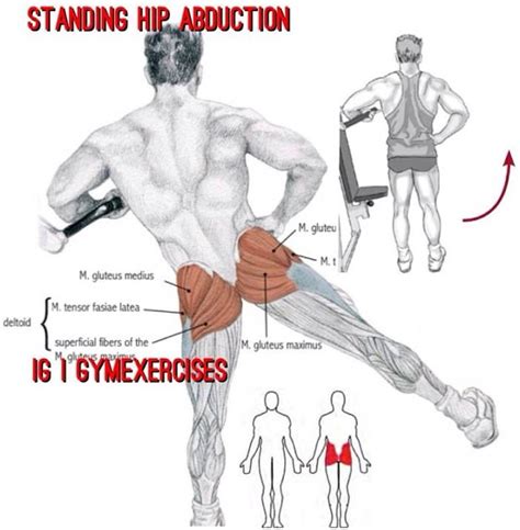 Hip Abduction Standing