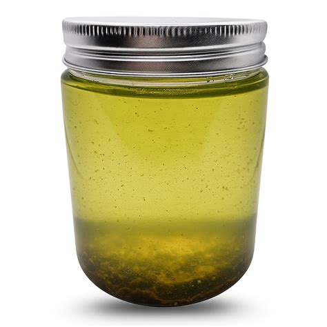 200+ Live Moina Macrocopa Culture – High-Protein Water Fleas for Larval Fish, Aquariums & School ...