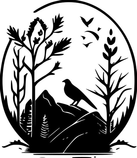 Nature Black and White 的图像结果