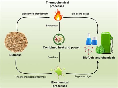Bioenergy Process 的图像结果