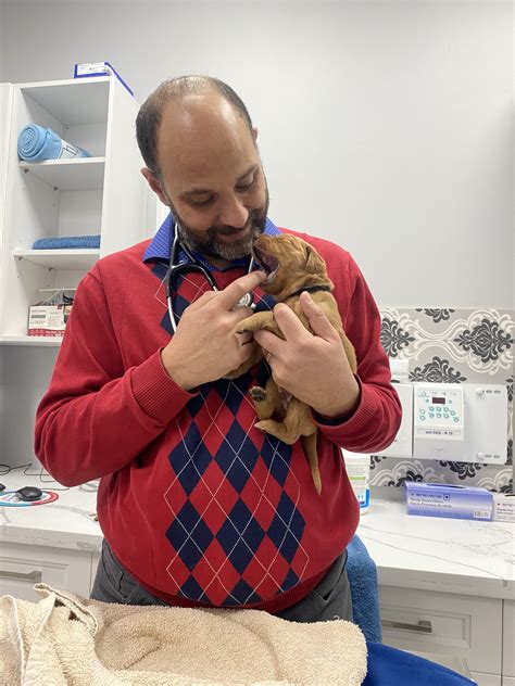 Parkside Animal Hospital |Veterinarian in Waterdown, ON