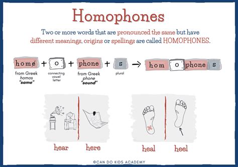 Homophones: versus vs. verses | Can Do Kids Academy