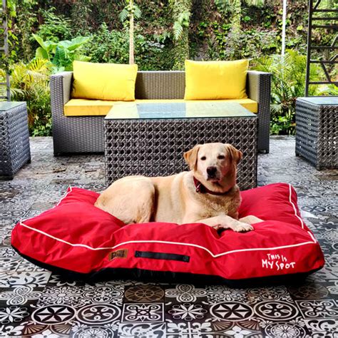 Monsoon Collection – Petter World
