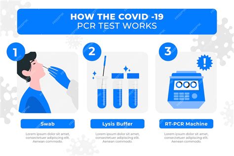 How Is PCR Test Done 的图像结果