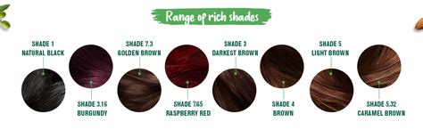 Buy Garnier Temporary Hair Color Naturals Crã¨Me Riche Sachet, Shade 4 ...