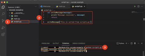Image result for Python Script Vscode