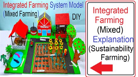 Image result for Science Project On Environment