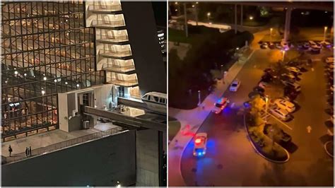Update: Woman Missing Died by Apparent Suicide at The Contemporary ...
