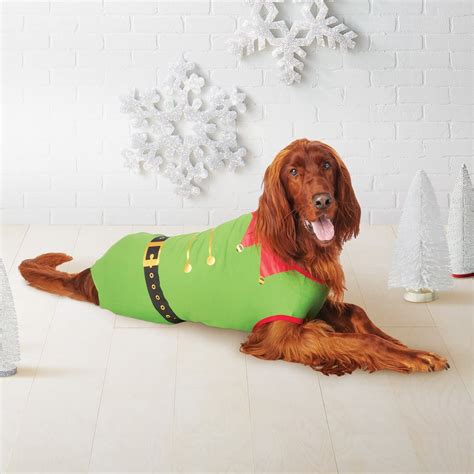 Cutest Dog Christmas Pajamas | POPSUGAR Family