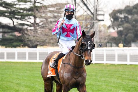 Local connection in today’s Melbourne Cup | Campaspe News