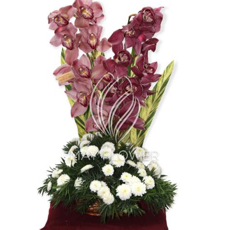 Orchid Tower – May Flower