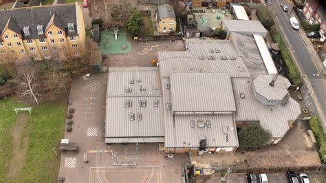 Local Simple Proctuet 的图像结果