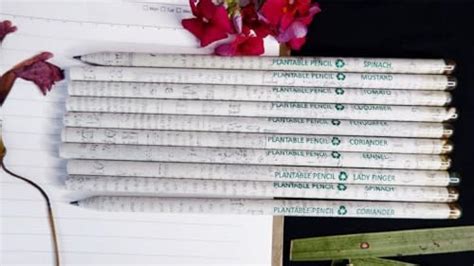 Plantable Seed Pencils greek | Eco-Friendly Bulk Gift Pack with Jute ...