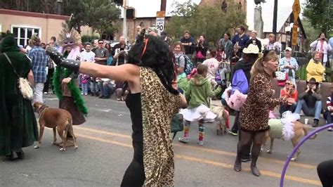 Santa Fe Fiesta 2025, United States Of America - Venue, Date & Photos