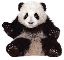 Image result for 6 Grade Lesson Lesson 8 Module