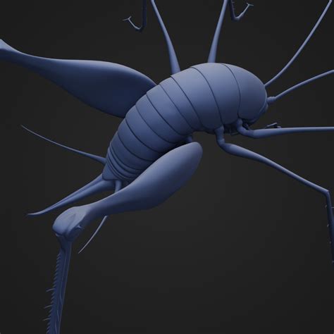 STL file Camel Back Cricket・3D printing template to download・Cults