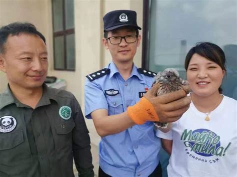 居民捡只幼鸟，挺能吃！原是国家二级保护动物-新华网山东频道