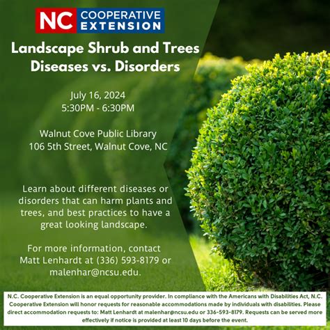 Landscape Shrub and Trees - Disease vs. Disorders | N.C. Cooperative ...