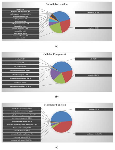 Dynamic TMT-Based Quantitative Proteomics Analysis of Critical ...