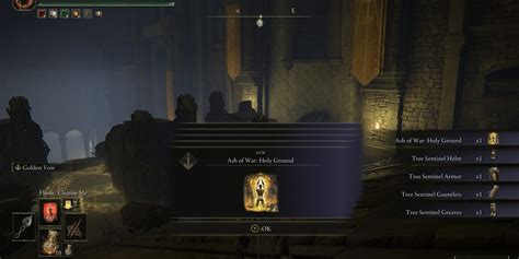 Image result for Tree Sentinel Armor Review