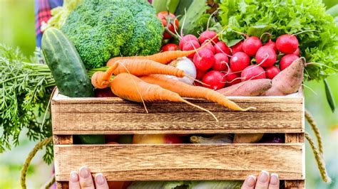 Fresh Taste Produce 的图像结果