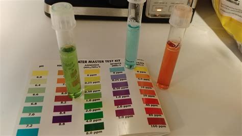 Help with my nitrogen cycle : r/Aquariums