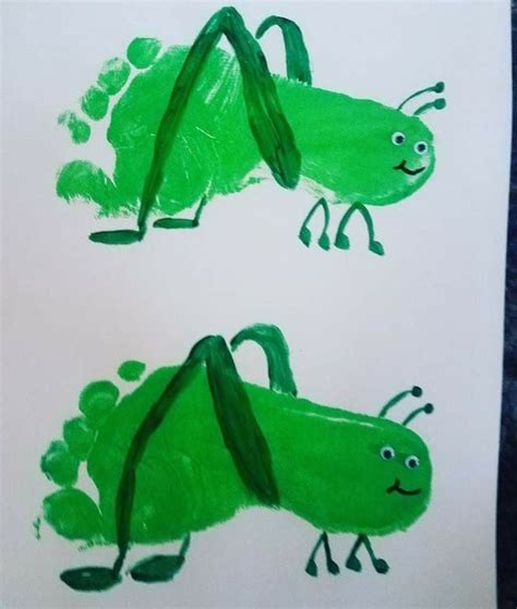 Image result for Hand Craft Insect Screen