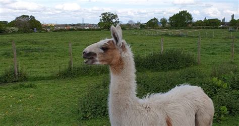 Deeside Tourism (2023): Best of Deeside, Wales - Tripadvisor