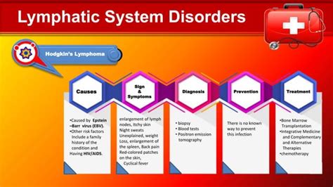 Image result for Lymphatic System Disorders