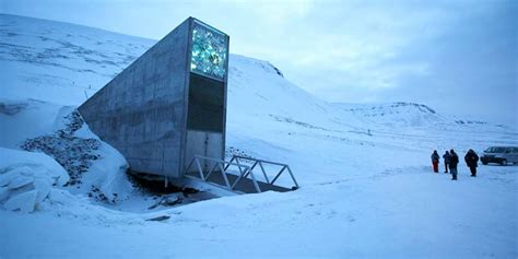 Doomsday vault gets 60,000 new seeds | food insecurity | climate change ...