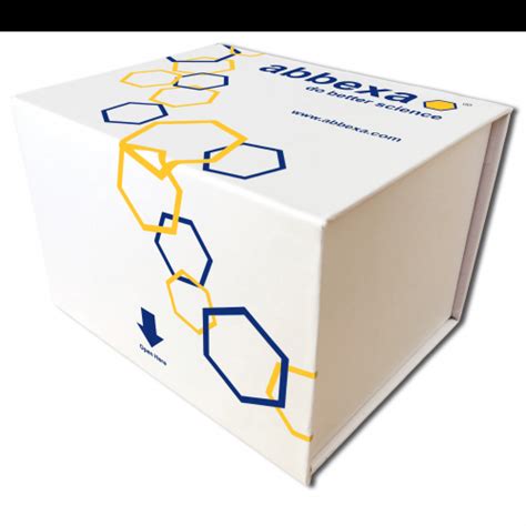 Image result for DNA Free Kit