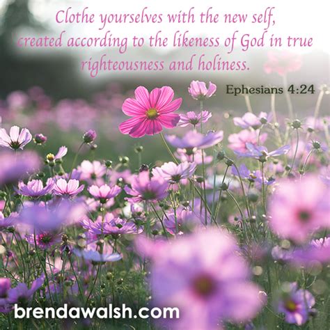 Image result for Scripture Reflections